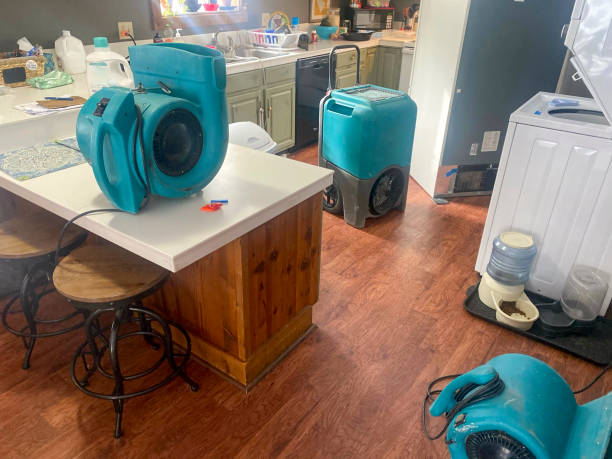 Best Residential water damage restoration  in Queens, NY