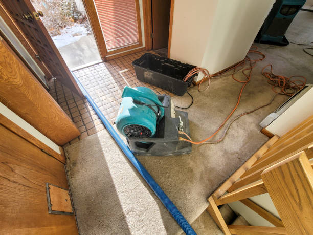 Best Water damage contractors near me  in Queens, NY