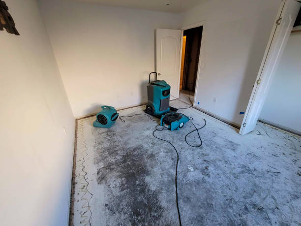 Water damage restoration experts in NY