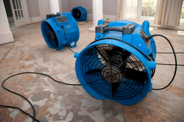 Best Water damage restoration near me  in Queens, NY