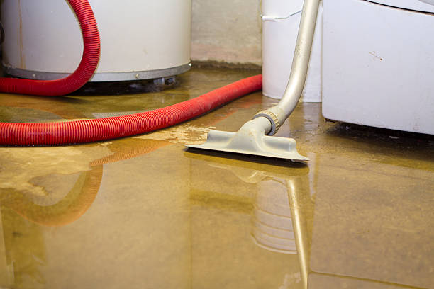 Best Sewage cleanup and water damage restoration  in Queens, NY