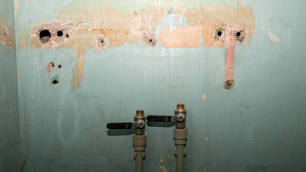 Best Emergency water damage restoration  in Queens, NY