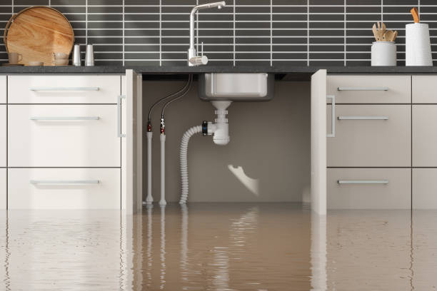 Best Water damage mitigation services  in Queens, NY