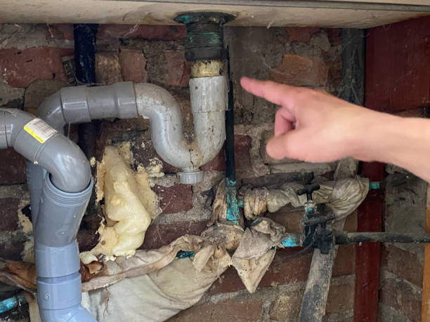  Queens, NY Water damage restoration Pros