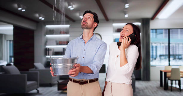 Best Water damage cleanup near me  in Queens, NY