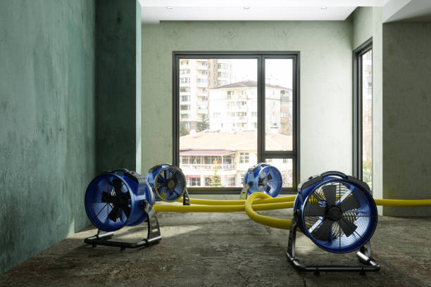 Best Water damage cleanup near me  in Queens, NY
